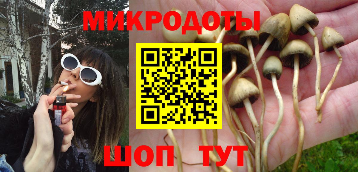 Лениногорск  Галлюциногенные грибы прущие грибы  Вход с VPN 